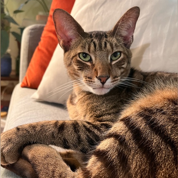 posher meet & greet 🔥 - Picture 9 of 16